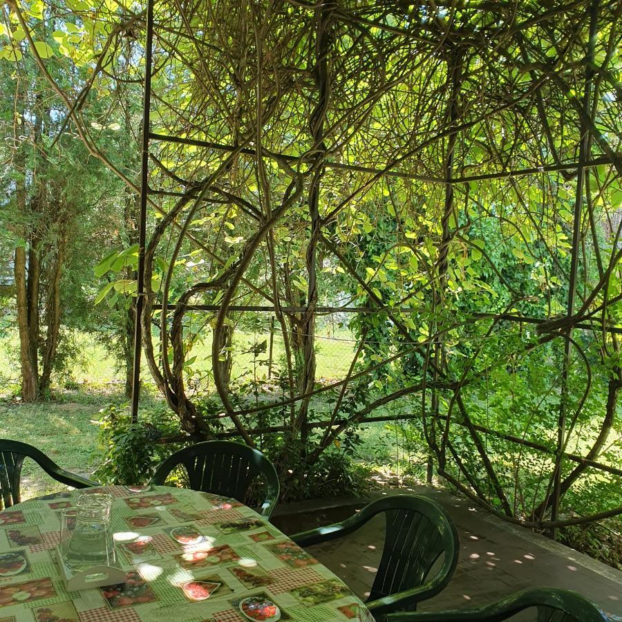 Sophie'S Guesthouse Сиофок Екстериор снимка